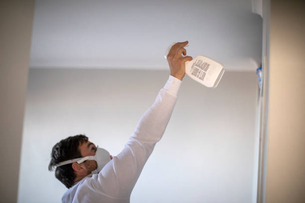 Best Mold Cleaning Services  in Manassas, VA