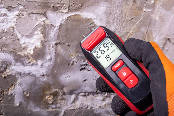 Mold Removal and Inspection in Manassas, VA